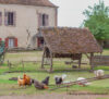 ferme chateau